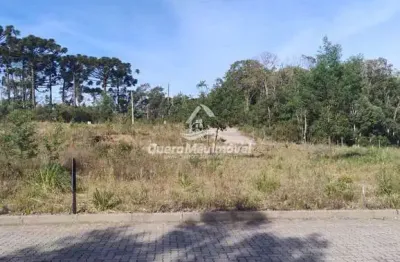 Terreno à venda na Rua Antônio Tomé, 1, Ana Rech, Caxias do Sul