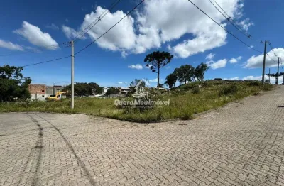 Terreno à venda na Rua General Alexandre Moss Simões dos Reis, 1, São Ciro, Caxias do Sul