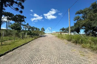 Terreno à venda na Rua General Alexandre Moss Simões dos Reis, 1, São Ciro, Caxias do Sul