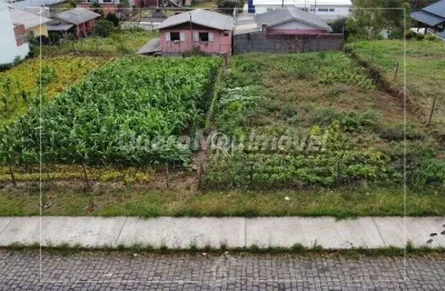 Terreno à venda nossa senhora do rosário caxias do sul/rs