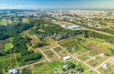 Terreno à venda na Estrada Municipal Avelina Tomazzoni Piccoli, 83, Monte Bérico, Caxias do Sul