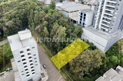 Terreno à venda na rua constante adorino pola, 1, colina sorriso, caxias do sul por r$ 180.000