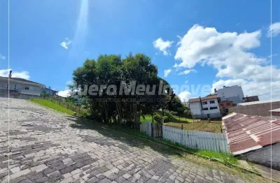 Terreno à venda na rua pedro viezzer, 1, presidente vargas, caxias do sul por r$ 800.000