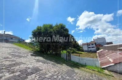 Terreno à venda na Rua Pedro Viezzer, 1, Presidente Vargas, Caxias do Sul