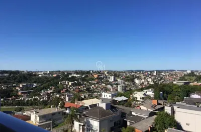 Apartamento 3 dormitórios à venda panazzolo caxias do sul/rs
