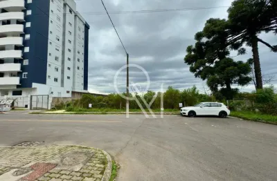 Terreno à venda na Rua Laurindo Pan, 59, Vila Verde, Caxias do Sul