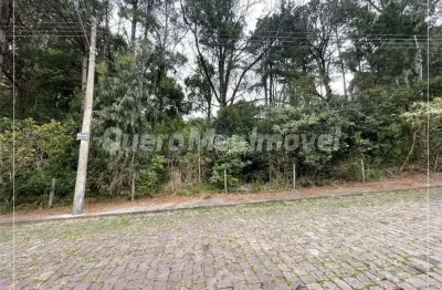 Terreno à venda na Rua Caetano Bettega, 1, Colina Sorriso, Caxias do Sul