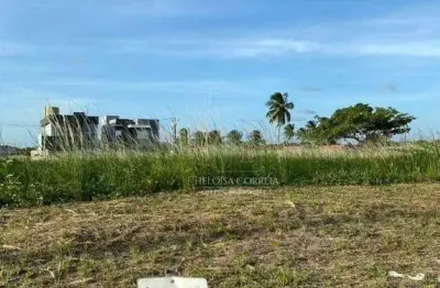 Terreno à venda, 250 m² por R$ 127.000,00 - Ferreiro Torto - Macaíba/RN