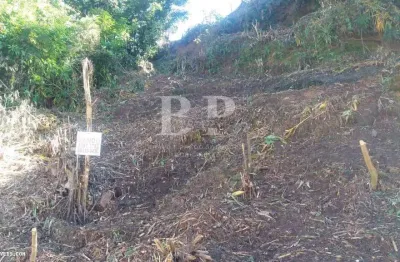 Terreno à venda na Rua Granja Guarani, 455, Granja Guarani, Teresópolis