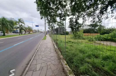 Terreno à venda na Avenida da Cavalhada, 3086, Cavalhada, Porto Alegre