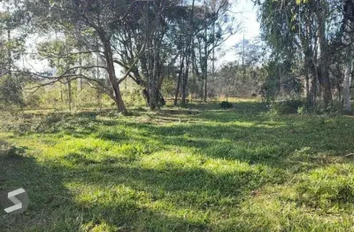 Apartamento para venda - 120m², 1 dormitório, 1 vaga - centro novo