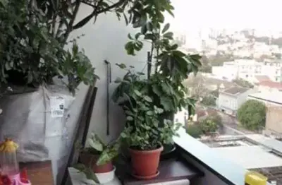 Apartamento para venda - 100.6m², 2 dormitórios, floresta