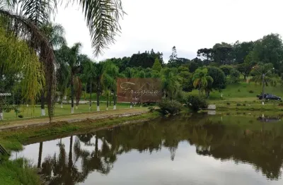 Chácara / sítio à venda no São Pedro, Contenda 