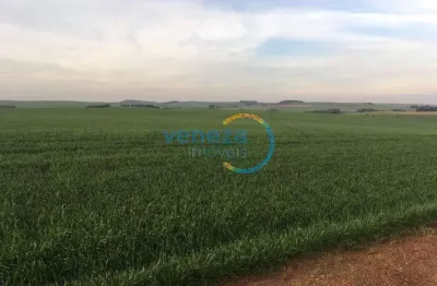 Chácaras_prop rurais com 1 quarto  à venda, 302500.00 m2 por r$4500000.00  - nova amoreira - marilandia do sul/pr