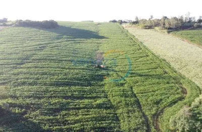 Chácara-imóvel-rural com 1 quarto  à venda, 121000.00 m2 por r$3500000.00  - zona rural - ibipora/pr