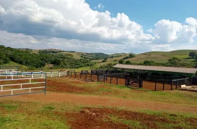 Chácara-Imóvel-Rural à venda, 6969600.00 m2 por R$36000000.00  - Rural - Nova Tebas/PR