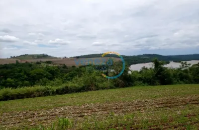 Chácara-Imóvel-Rural à venda, 20000.00 m2 por R$450000.00  - Rural - Assai/PR