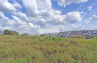 Terreno comercial para alugar no Rancho Alegre, Divinópolis 