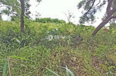 Terreno comercial para alugar no Rancho Alegre, Divinópolis 