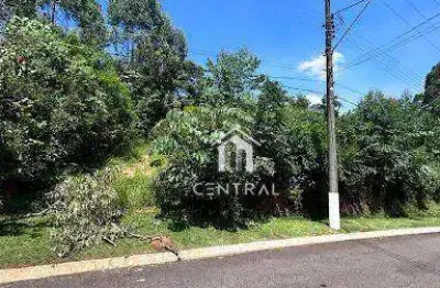 Terreno à venda, 1151 m² por r$ 750.000,01 - roseira - mairiporã/sp