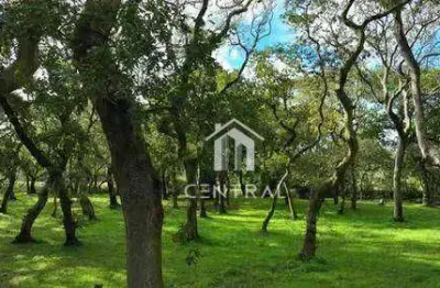 Terreno venda 7.000,00 m² campolim sorocaba  localização privilegiada