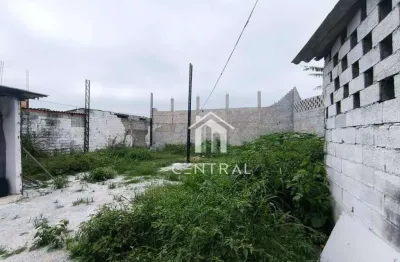 Terreno para alugar, 370 m² por r$ 4.000/mês - jardim santo expedito - guarulhos/sp