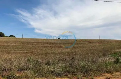 Terreno para alugar, 2700.43 m2 por r$2000.00  - estancia dellaville - londrina/pr