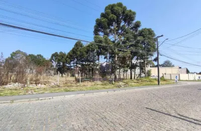 Terreno à venda, 1038 m² por r$ 602.000,00 - cristal - são josé dos pinhais/pr