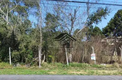Terreno à venda, 600 m² por r$ 348.000 - cristal - são josé dos pinhais/pr