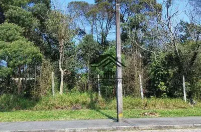 Terreno à venda, 600 m² por r$ 348.000 - cristal - são josé dos pinhais/pr