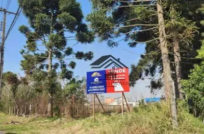Área à venda, 2972 m² por r$ 1.748.000,00 - cristal - são josé dos pinhais/pr