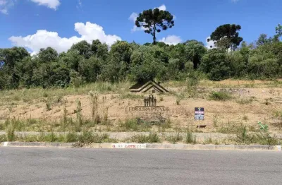 Terreno à venda, 189 m² por r$ 150.822,00 - moradias bom jesus - campo largo/pr