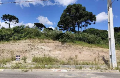 Terreno à venda, 189 m² por r$ 143.640 - moradias bom jesus - campo largo/pr