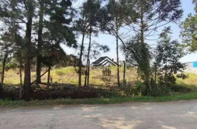 Terreno à venda, 734 m² por r$ 450.000 - cristal - são josé dos pinhais/pr