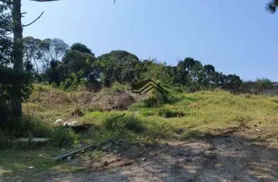 Terreno à venda, 734 m² por r$ 450.000 - cristal - são josé dos pinhais/pr