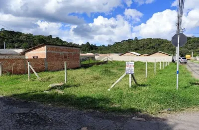 Terreno à venda, 432 m² por r$ 210.000 - dom rodrigo - são josé dos pinhais/pr