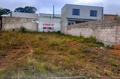 Terreno à venda, 160 m² por r$ 165.000 - eucaliptos - fazenda rio grande/paraná
