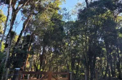 Chácara / sítio com 1 quarto à venda na ÁRea Rural De São José Dos Pinhais, São José Dos Pinhais - Pr, Curralinho, São José dos Pinhais