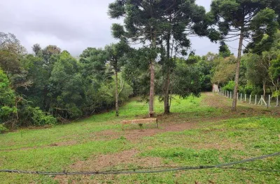 Terreno à venda, 2033 m² por r$ 600.000 - borda do campo - são josé dos pinhais/pr