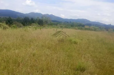 Chácara à venda, 20000 m² por r$ 450.000 - contenda - são josé dos pinhais/paraná