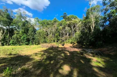 Chácara à venda, 12000 m² por r$ 250.000 - areia branca dos assis - mandirituba/paraná