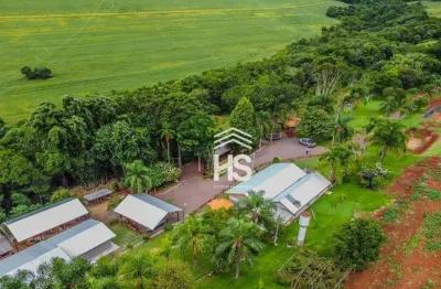 Chácara / sítio com 7 quartos à venda na Estrada Municipal Itelo Webber, Santos Dumont, Cascavel