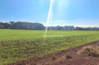 Área industrial com 28.500 m²  acesso direto pela br-277