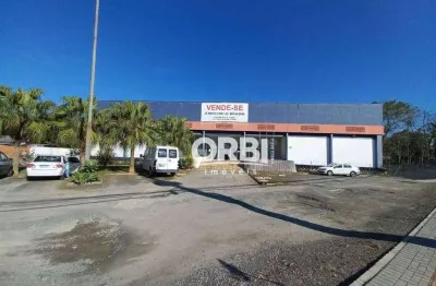 Galpão para alugar, 5349 m² por r$ 117.337,93/mês - itoupava norte - blumenau/sc