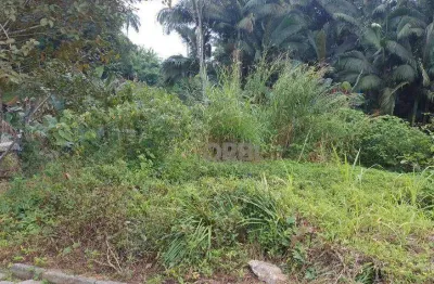 Terreno à venda, 368 m² por r$ 300.000,00 - salto do norte - blumenau/sc