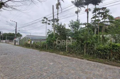 Terreno à venda, 1192 m² por r$ 1.200.000,00 - figueira - gaspar/sc