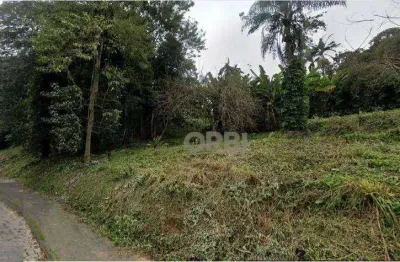 Terreno vila nova  à venda, zr1 c/ 3723 m² por r$ 3.174.000 - vila nova - blumenau/sc