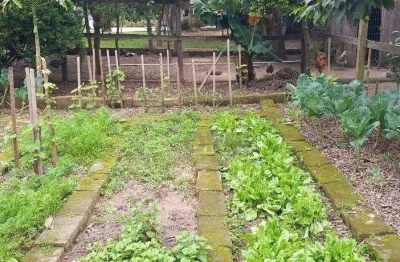 Mini sítio com casa com 1 dormitório à venda, 72 m² por r$ 265.000 - parque itacolomi - gravataí/rs