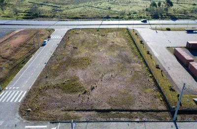 Terreno comercial à venda na Zona Rural, Ilhota 