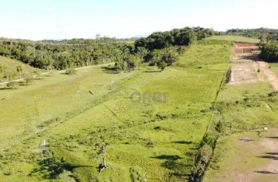 Terreno à venda, 29008 m² por r$ 1.350.000,00 - macucos - gaspar/sc